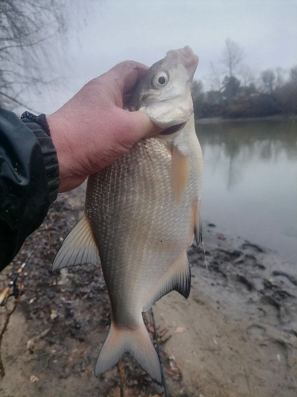 По фидеру закрылись. Ждем лед.