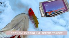 Подъем судака на active target 2 зимой — видно всё!! Ищем хищника зимой