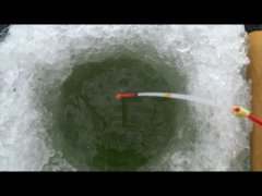 Крупняк загнул кивок. Сорога на безмотылку и бутерброд. Рыбалка 2025-2026