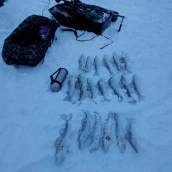 Красный яр 07.12.25г От темна до темна ... В два лица. Синий прыщ, красный  галстук...