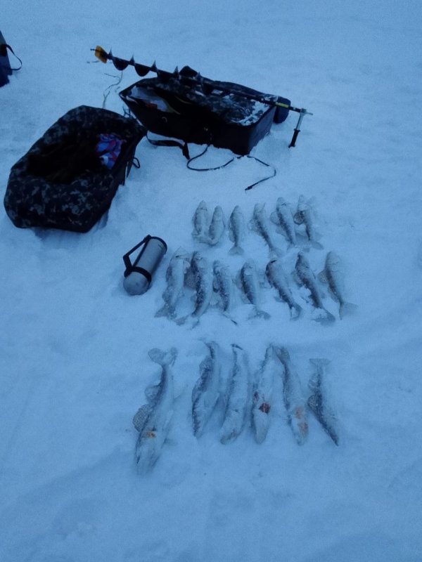 Красный яр 07.12.25г От темна до темна ... В два лица. Синий прыщ красный галстук...