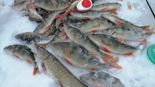 20.12.2025 г. Колываны