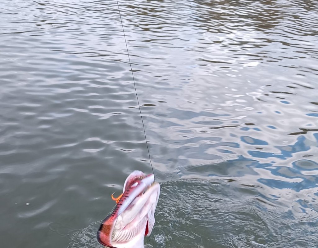 Воспоминания о прошедшем сезоне.