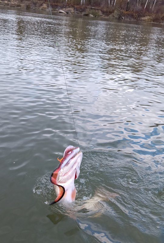 Воспоминания о прошедшем сезоне.