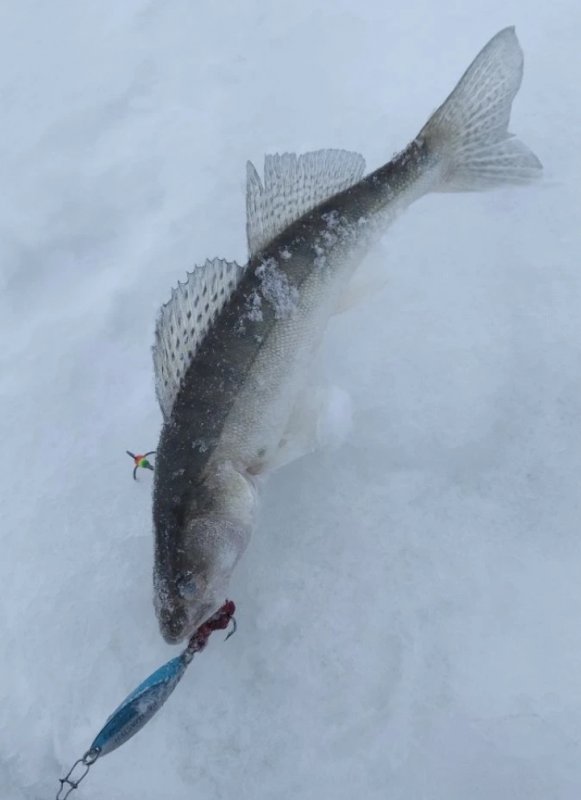 Онлайн. В районе Морского.