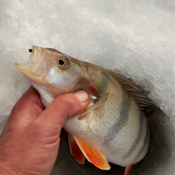 ОВХ. " Ребята, а Вы чего тут?"