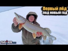 Трофейная рыбалка на жерлицы. Эту безумную борьбу нужно видеть. Первый лед на новый год