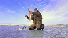 Первый лед! Рыбалка на жерлицы с подводной камерой!