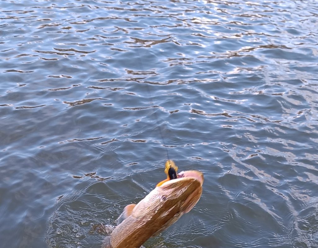 Воспоминания о прошедшем сезоне.