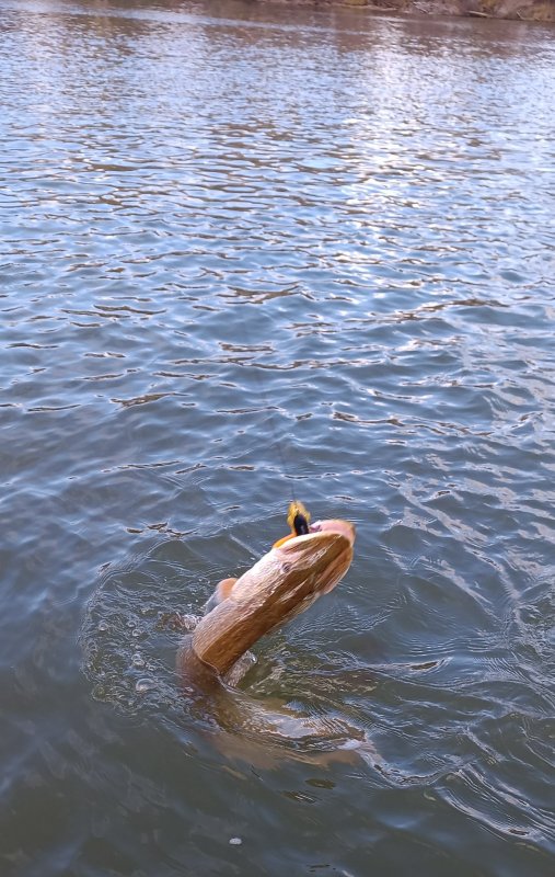 Воспоминания о прошедшем сезоне.