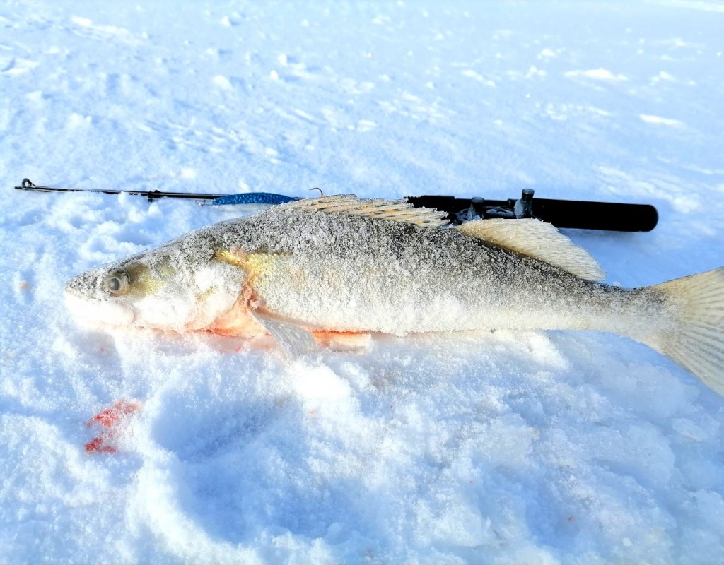 ОВХ. В зачет один.
