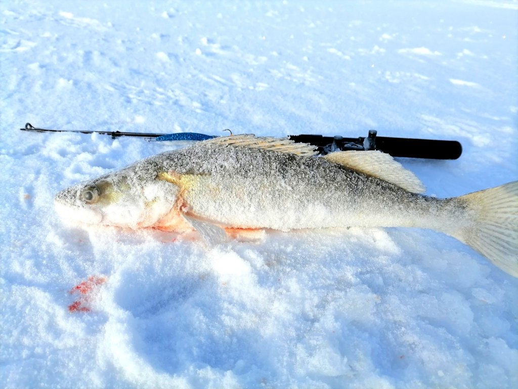 ОВХ. В зачет один.