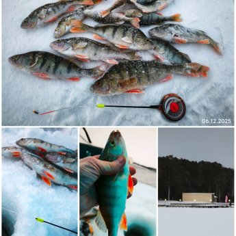 Вымученные...