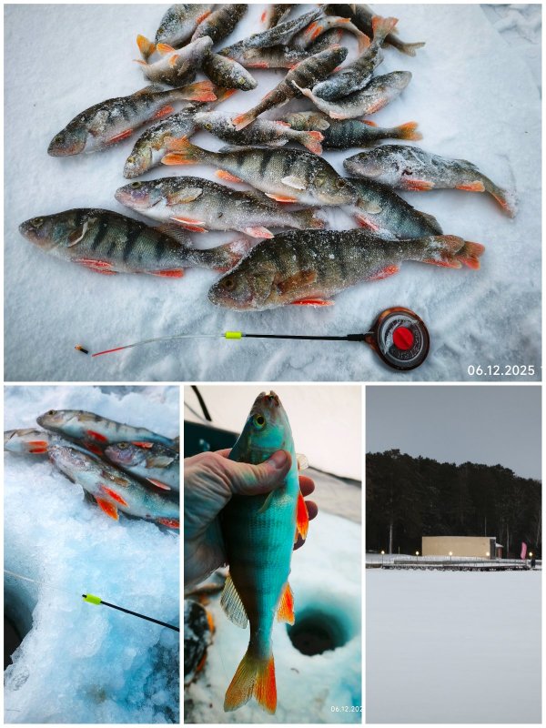 Вымученные...