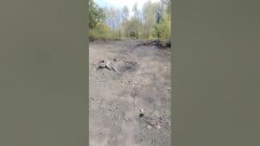 Барнаул речка Обь как много мусора #барнаул #рыбалка #Новоалтайск #алтайскийКрай