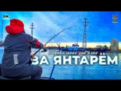 Зона отчаяния. Радикальная фидерная рыбалка!