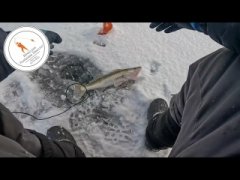 Открытие зимнего сезона рыбалки и сразу на Обское водохранилище! 🎣