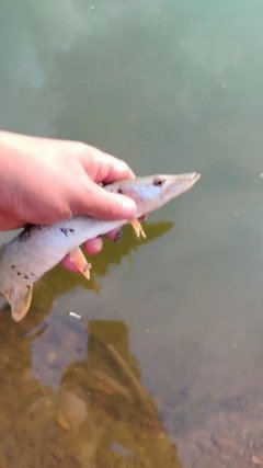 Рыбалка, Барнаул, Новоалтайск.