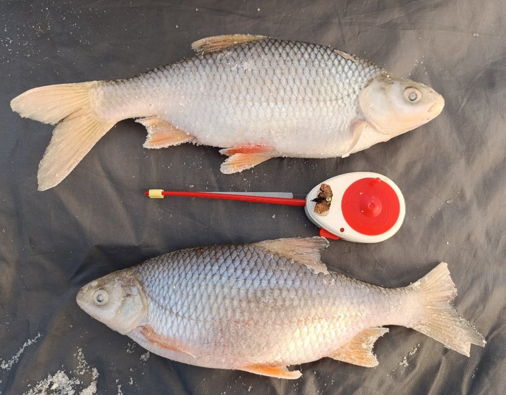 В -32 сорога не одна.