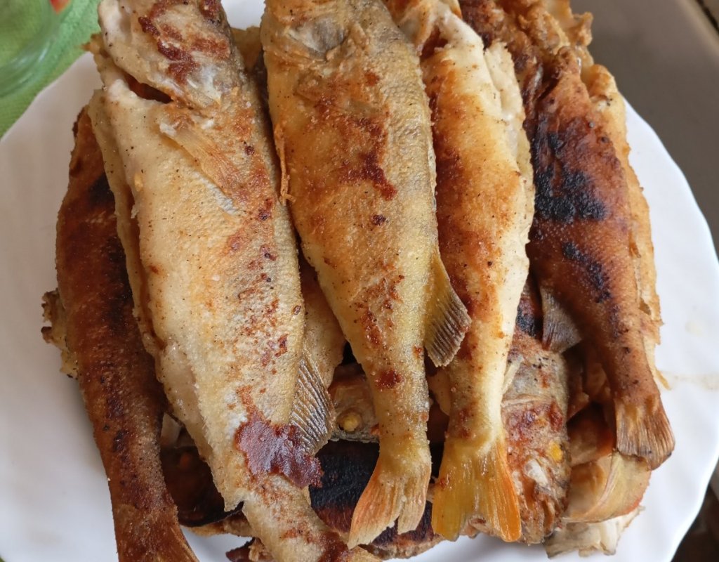 Воспоминания о хорошей рыбалке в начале июня