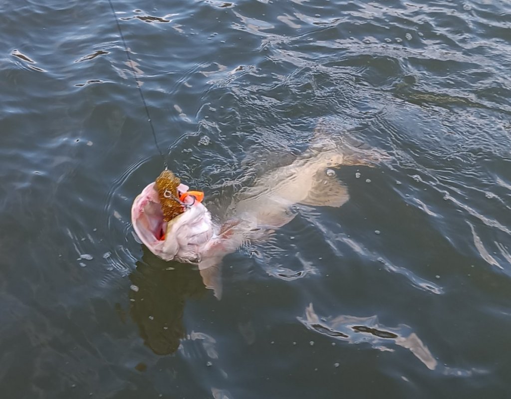 Воспоминания о прошедшем сезоне.