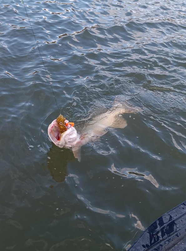 Воспоминания о прошедшем сезоне.