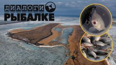 Карасиное царство! Рыбалка на оз.Чаны с командой