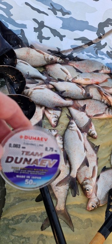 Матвеевка 14.12.2025 г с 14 до 17