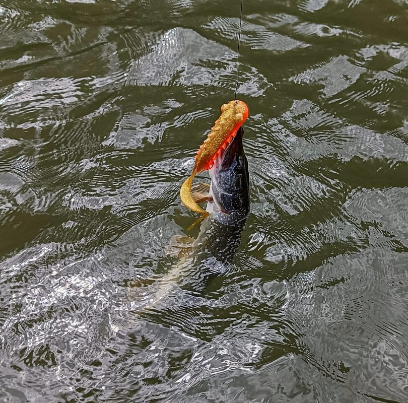Продолжаю ностальгировать
