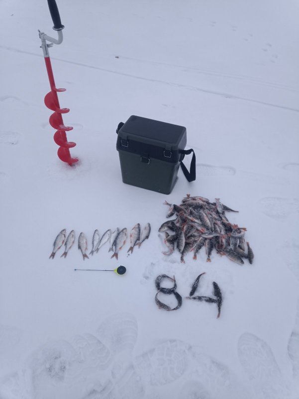 Открытие на домашнем водоёме