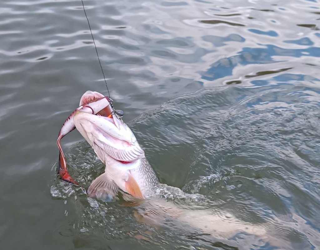 Воспоминания о прошедшем сезоне.