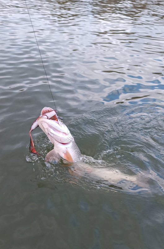 Воспоминания о прошедшем сезоне.