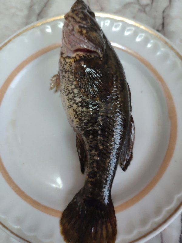 Юго-Западный.