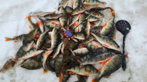 С безмотылкой на речке.