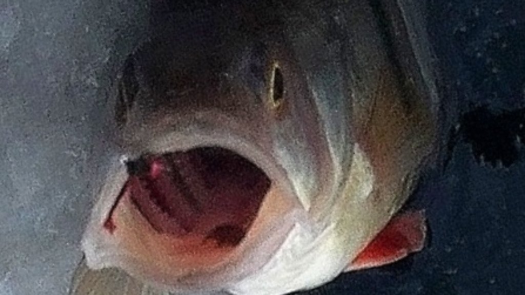 Зимнее настроение декабря.