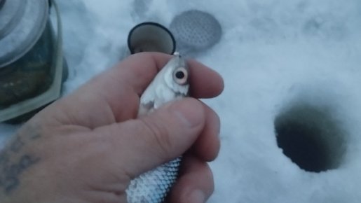 Вьюна или "Звёздный"час Свояка!..