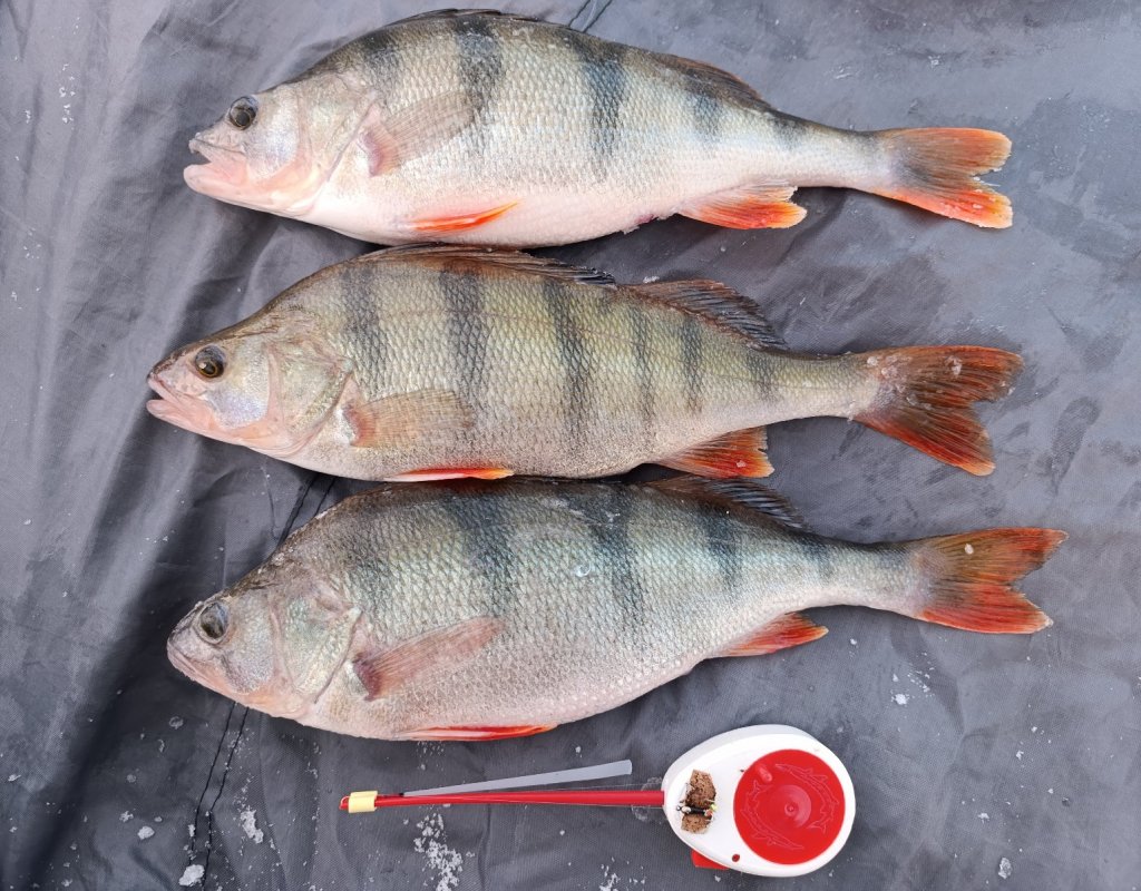 Топ- 3 с ОВХ.