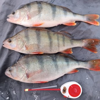 Топ- 3 с ОВХ.