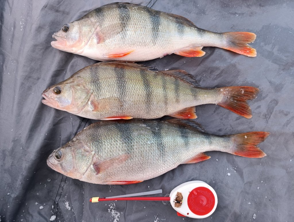 Топ- 3 с ОВХ.