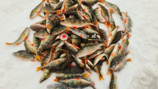 На малой речке.