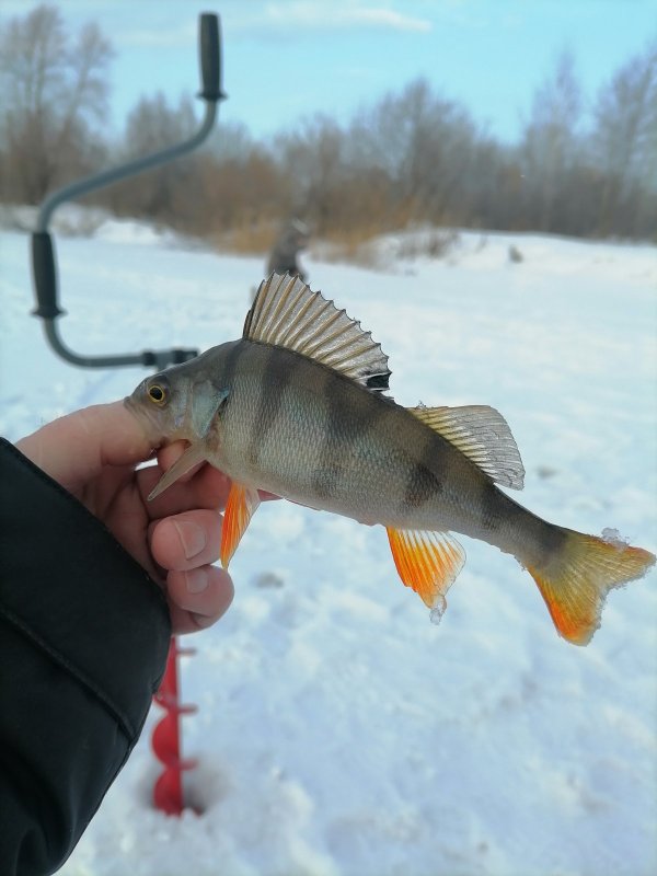 Очередной матрос с Югов.