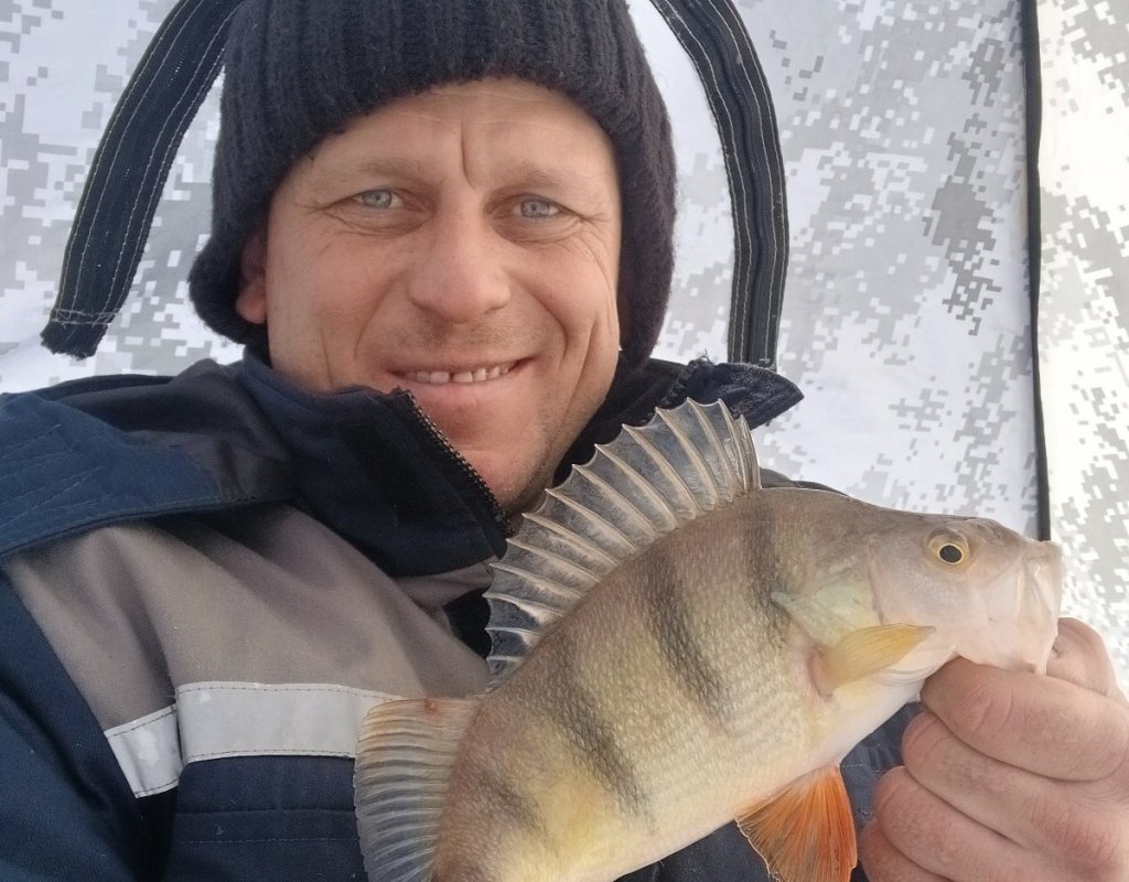 Безмотылка рулит