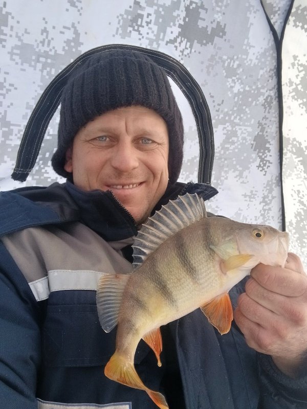 Безмотылка рулит