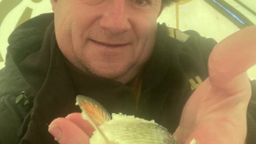 Сорога на Томи