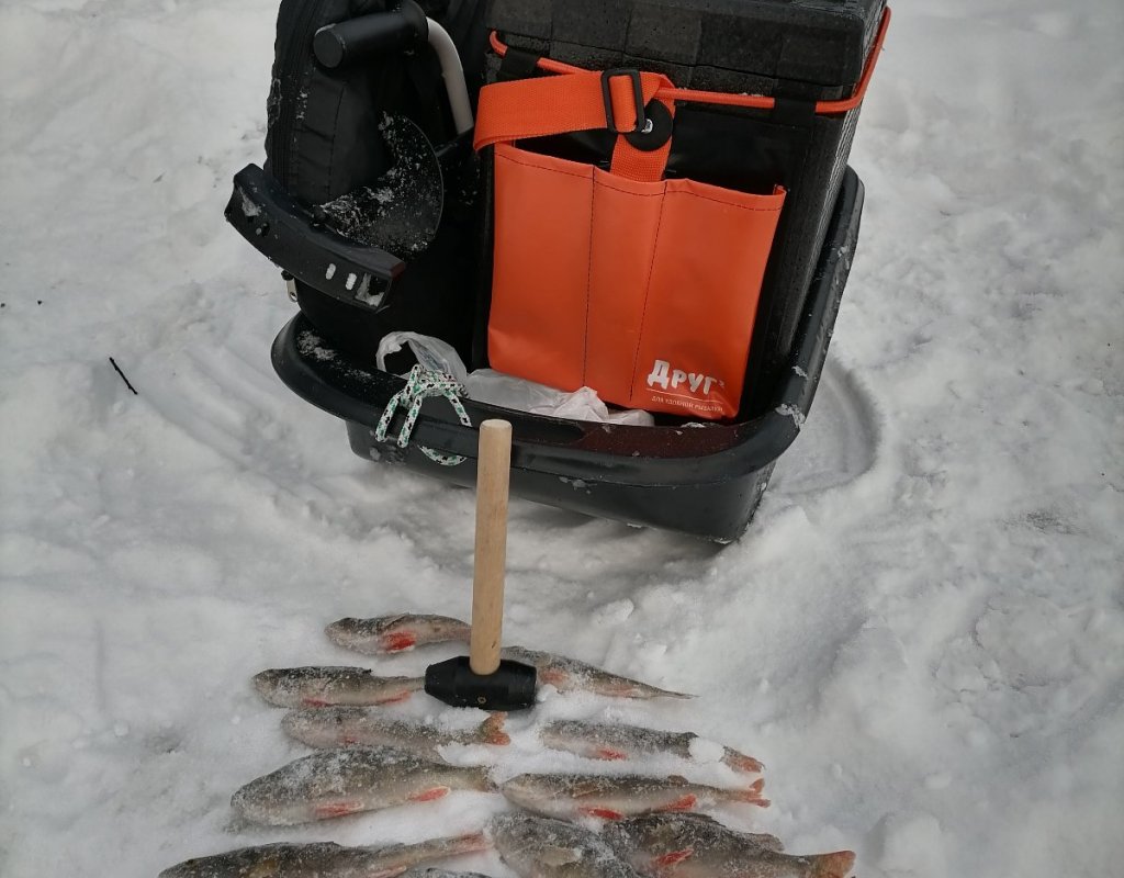 24.01.2026 Колыванский