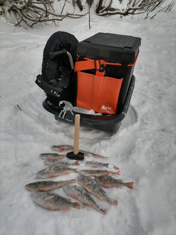 24.01.2026 Колыванский