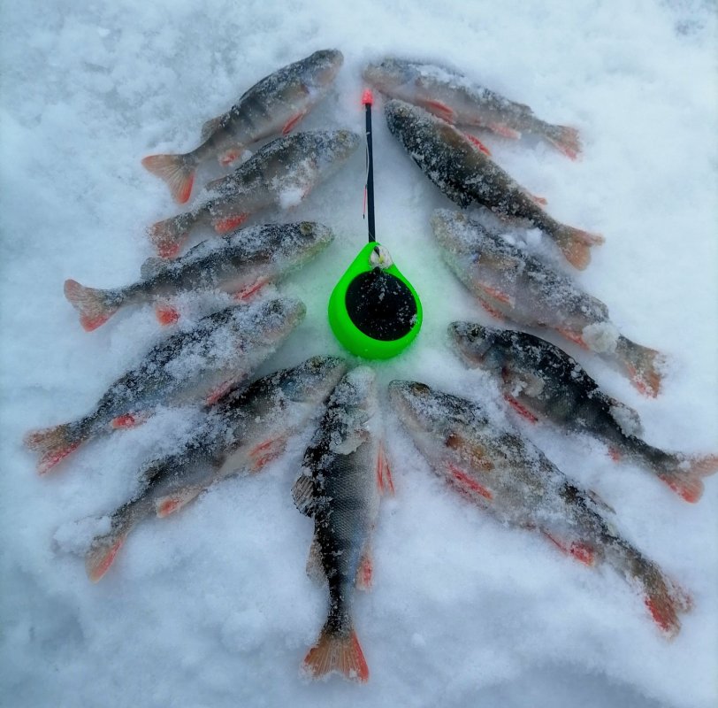 Юга. Не мой день.