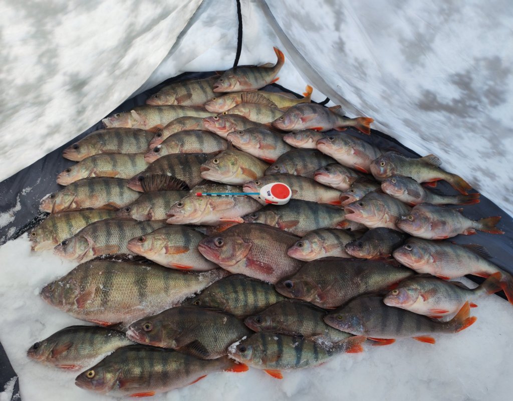 Глухозимье...