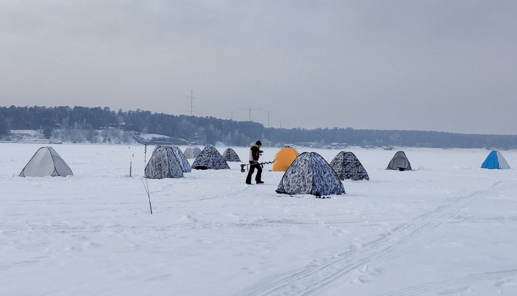3 - е января. " Не дай салатам себя убить!"