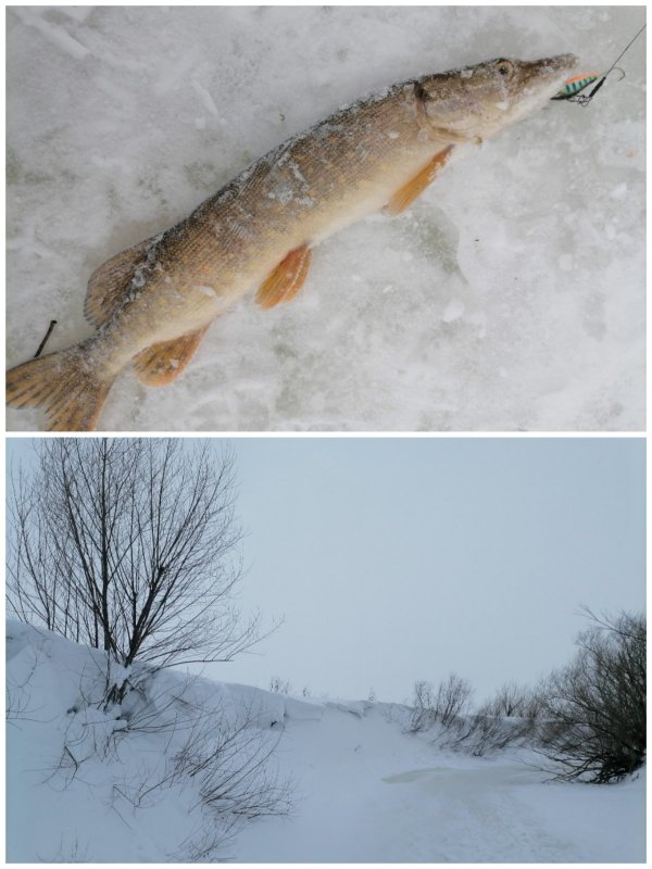 10.01.2026 На балансир.